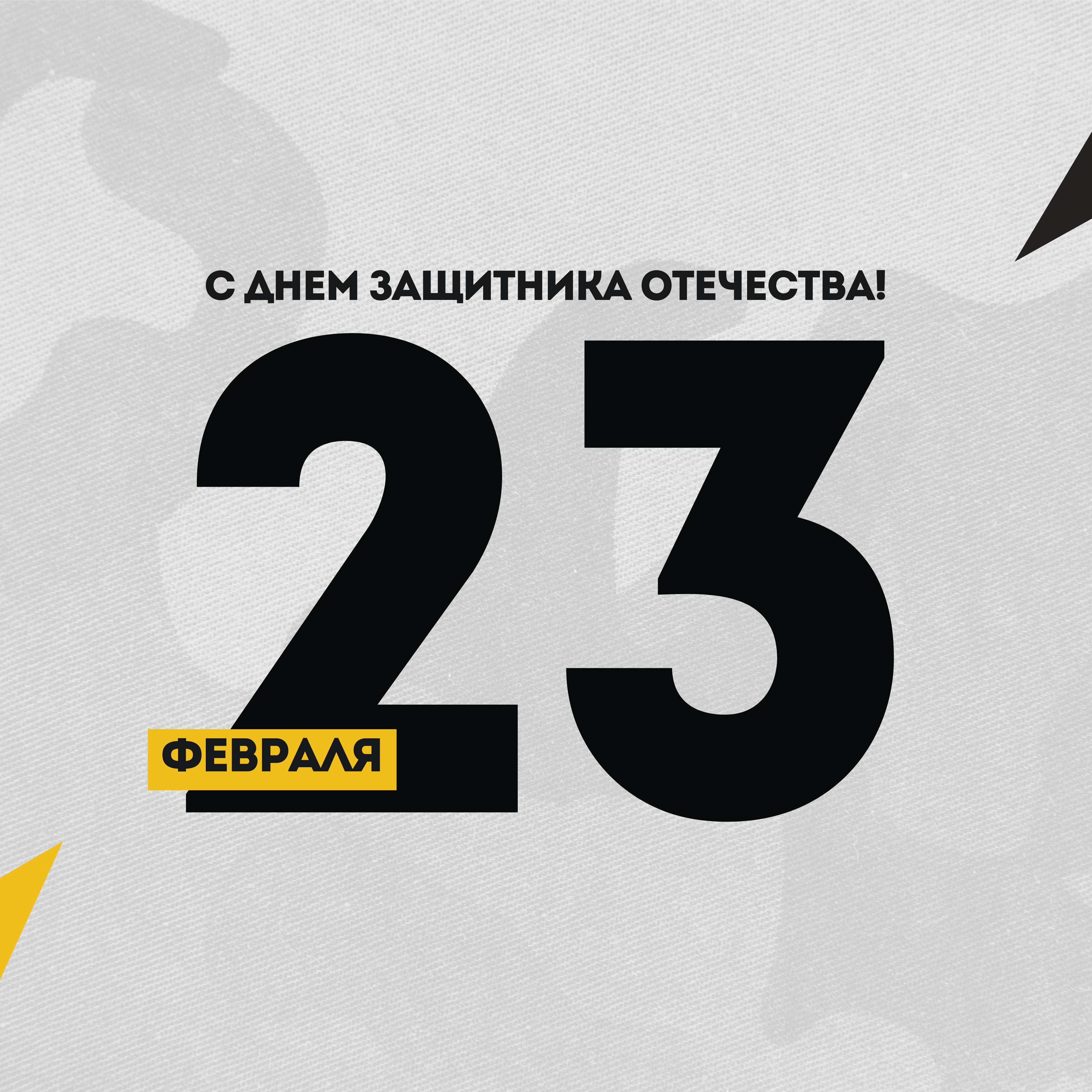 С Днем Защитника Отечества!